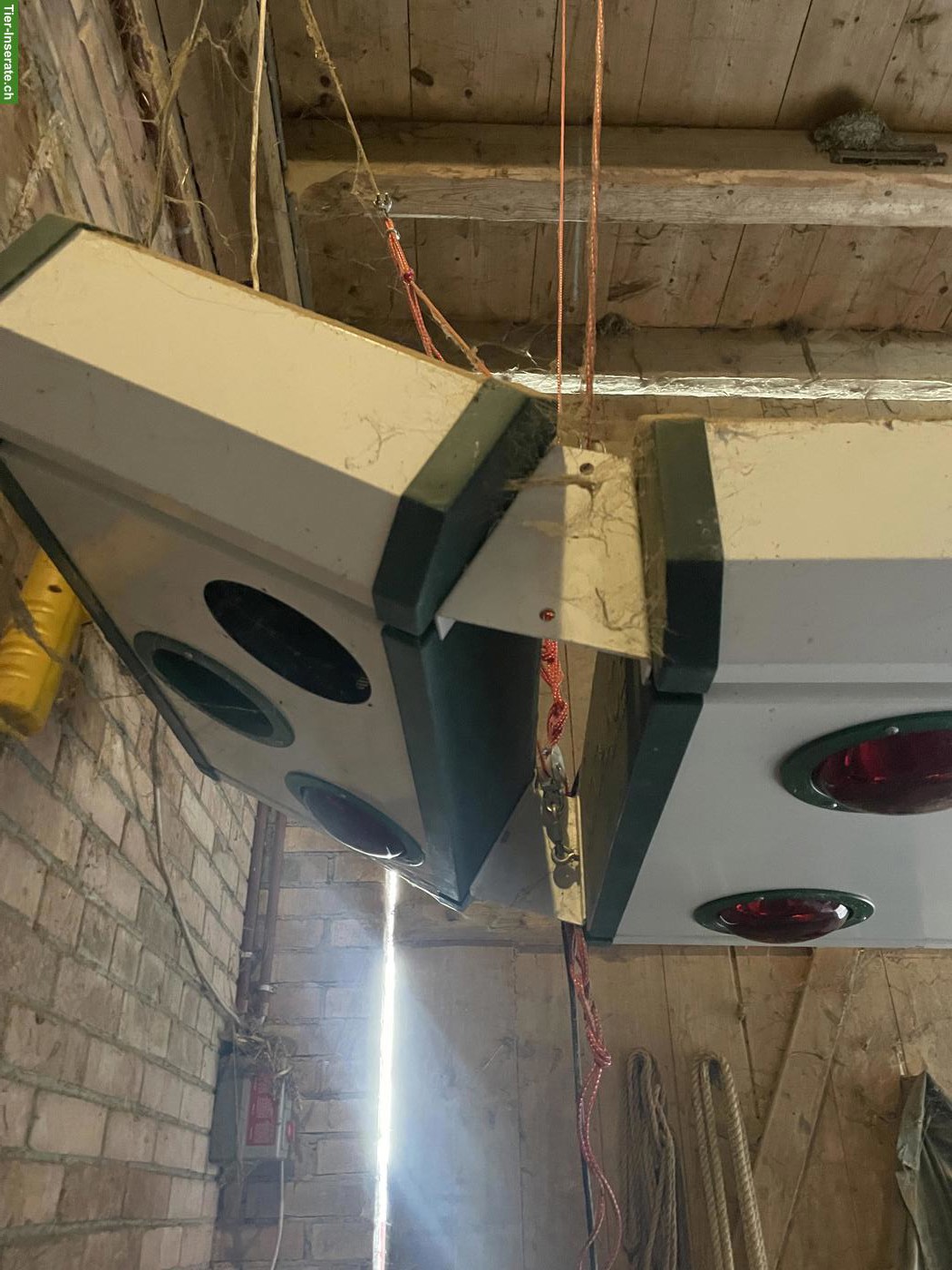 Bild 3: Solarium für Pferde Sundance zu verkaufen