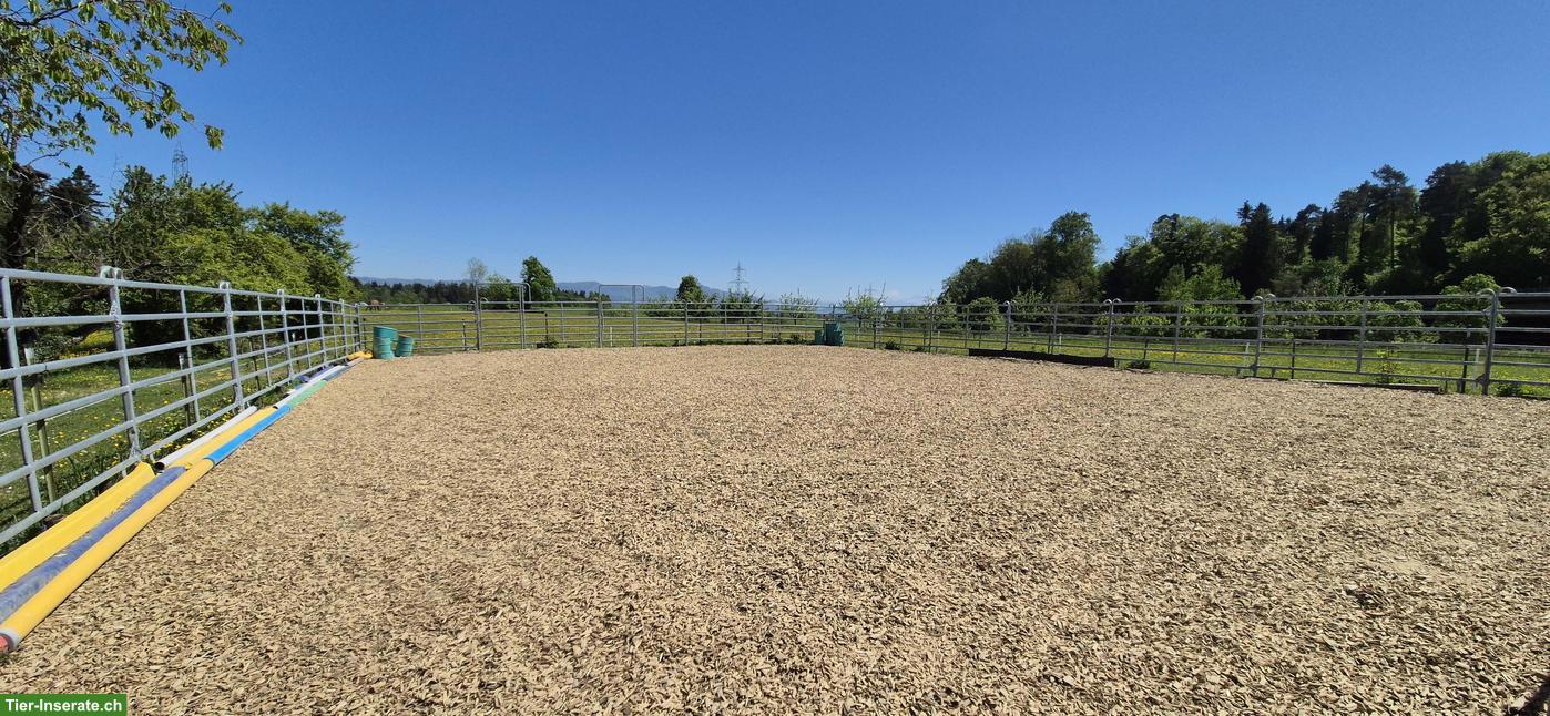 Bild 10: Offenstallteil zur Selbst- oder Teilselbstversorgung in Egg b. ZH