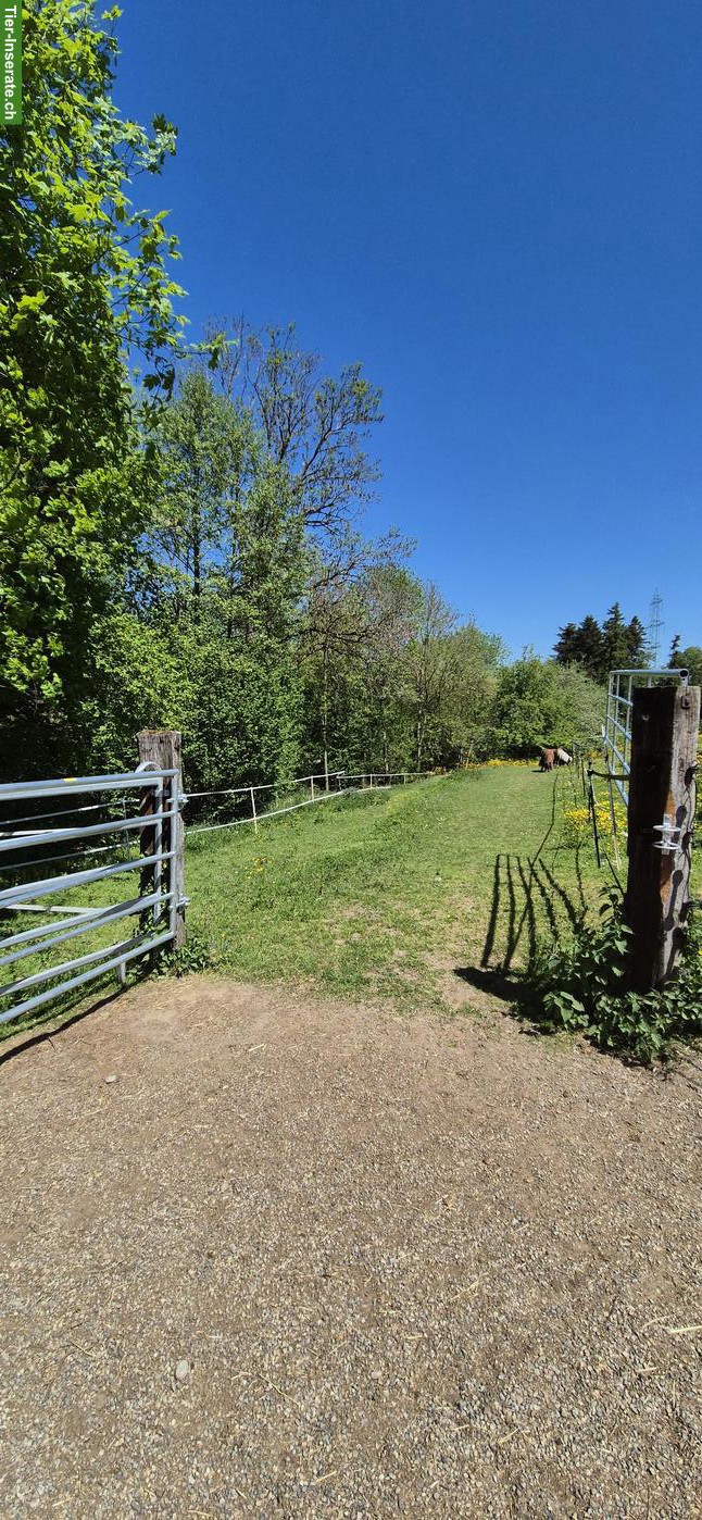 Bild 4: Offenstallteil zur Selbst- oder Teilselbstversorgung in Egg b. ZH