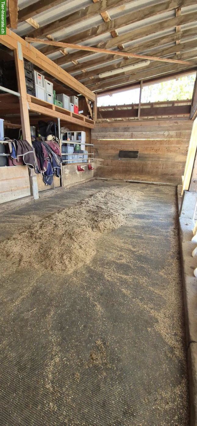 Bild 7: Offenstallteil zur Selbst- oder Teilselbstversorgung in Egg b. ZH