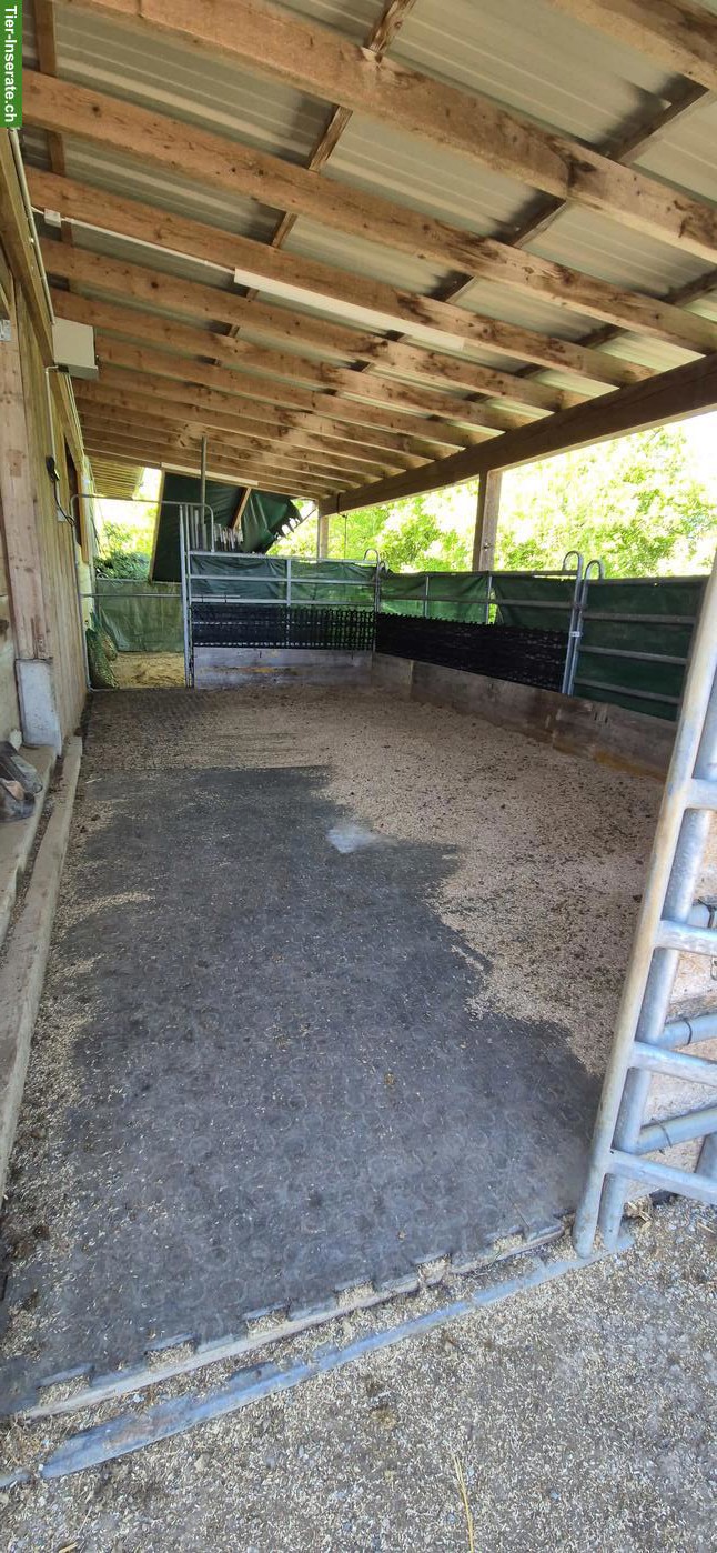 Bild 8: Offenstallteil zur Selbst- oder Teilselbstversorgung in Egg b. ZH