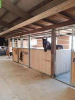 2 Auslaufboxen frei auf Bio-Bauernhof in Hellikon AG