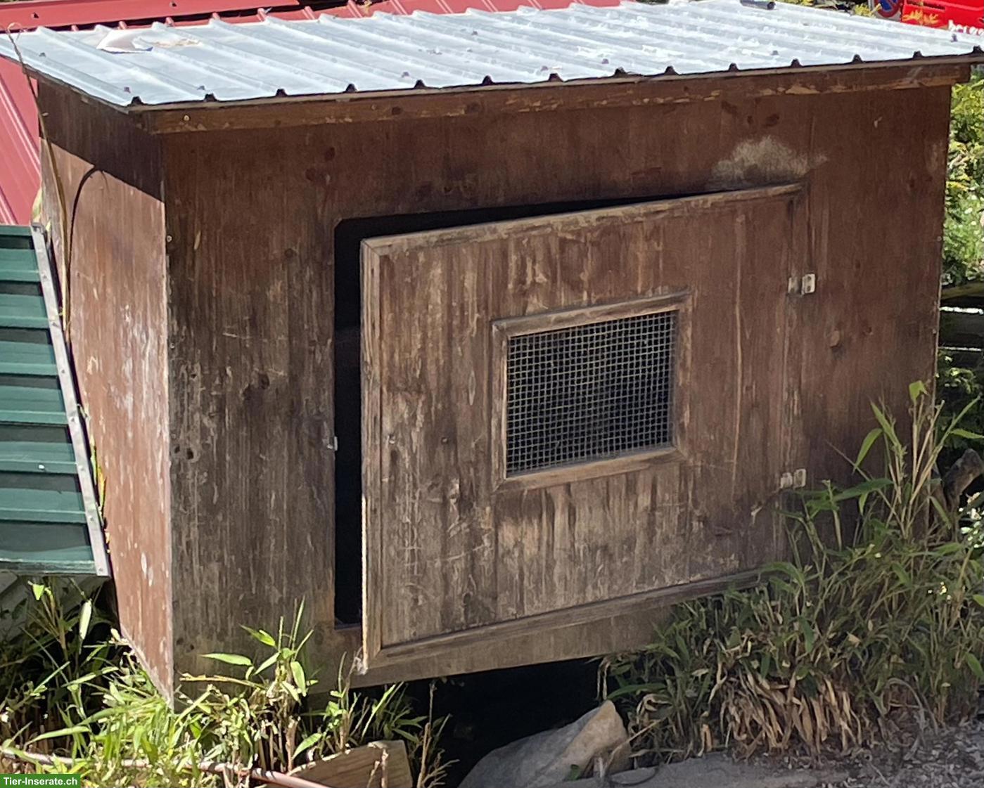 GRATIS: Hühnerhaus/Wachtelstall