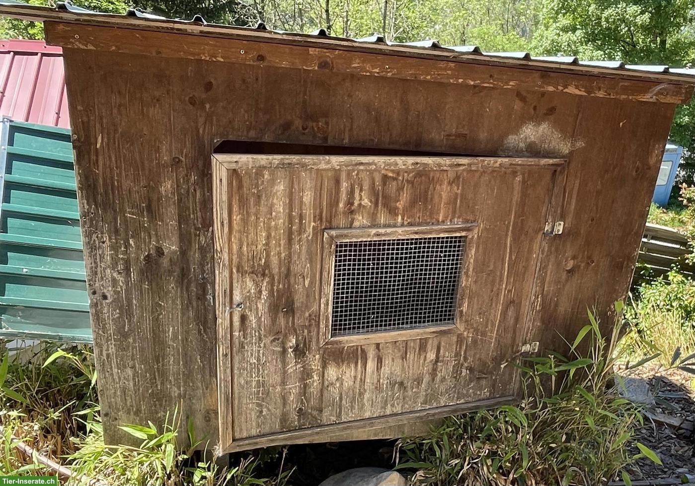 Bild 2: GRATIS: Hühnerhaus/Wachtelstall