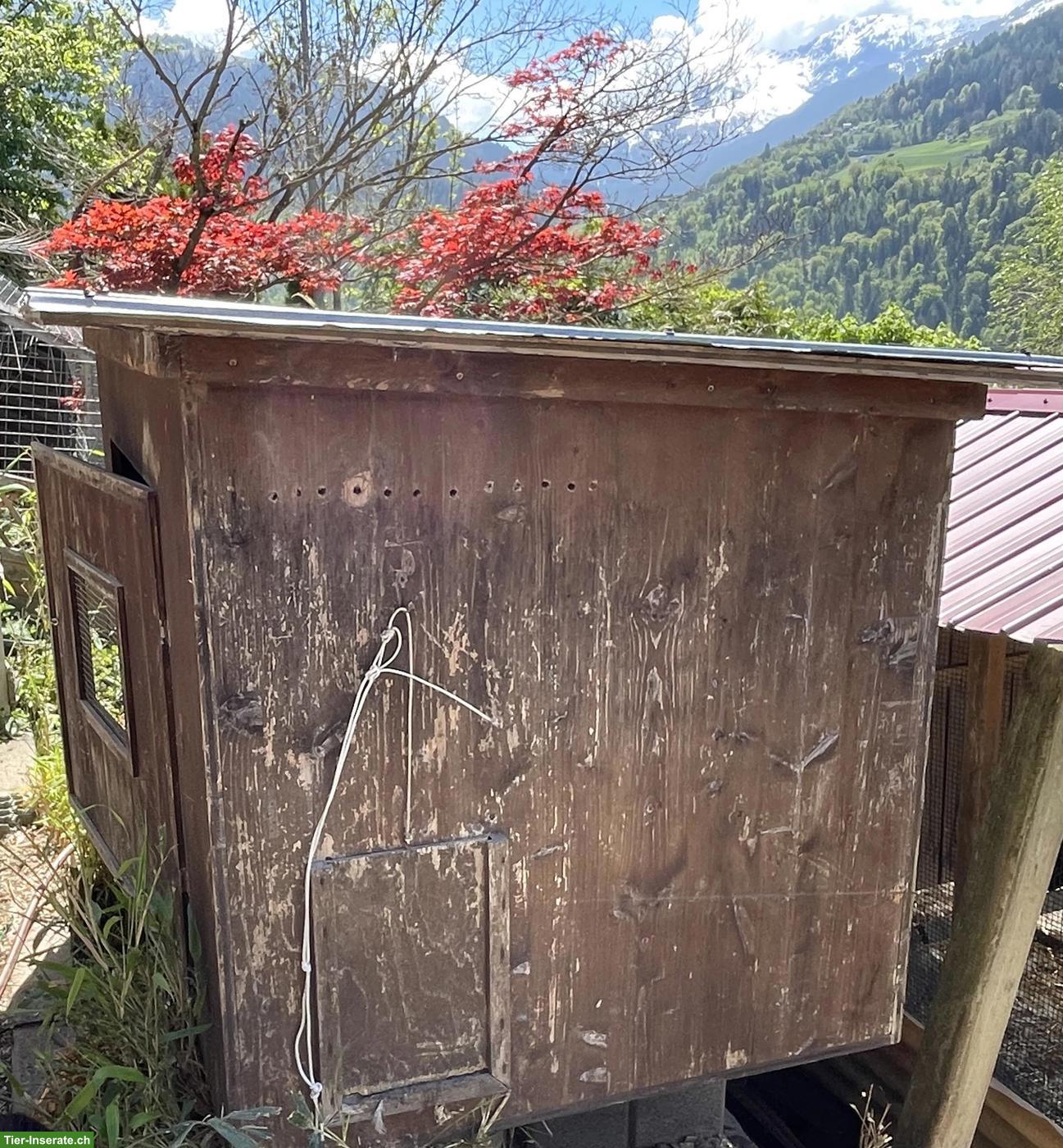 Bild 3: GRATIS: Hühnerhaus/Wachtelstall