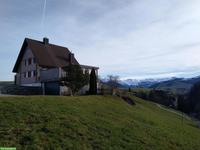 Biete 3 Tagesplätze für Hunde in Familienhaus