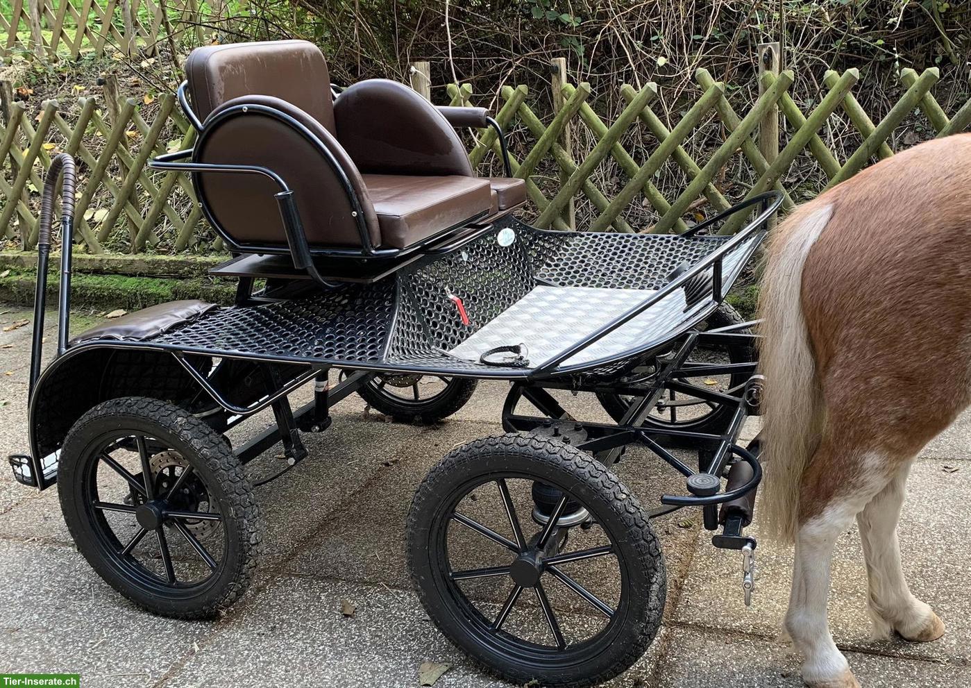 Bild 3: Marathonkutsche, 90-120 cm, Tjeu van de Meulengraaf