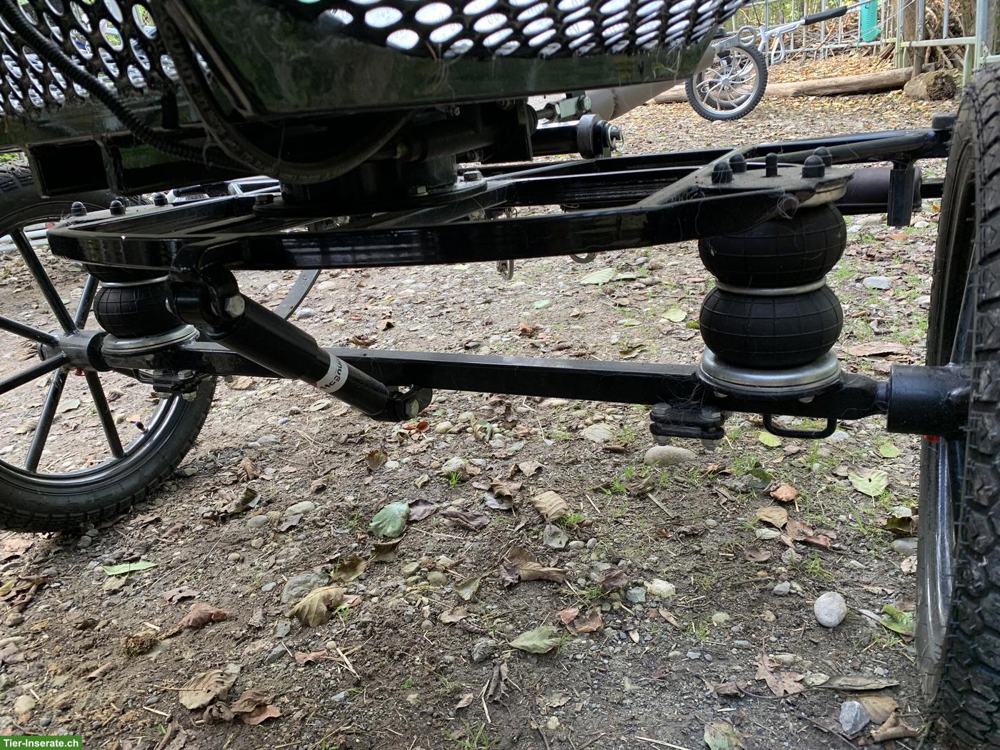 Bild 6: Marathonkutsche, 90-120 cm, Tjeu van de Meulengraaf