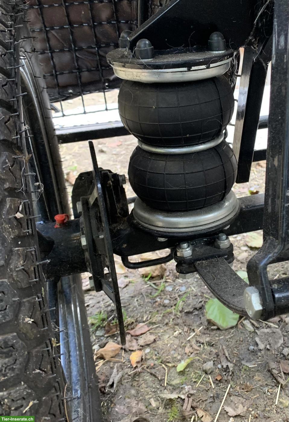 Bild 7: Marathonkutsche, 90-120 cm, Tjeu van de Meulengraaf