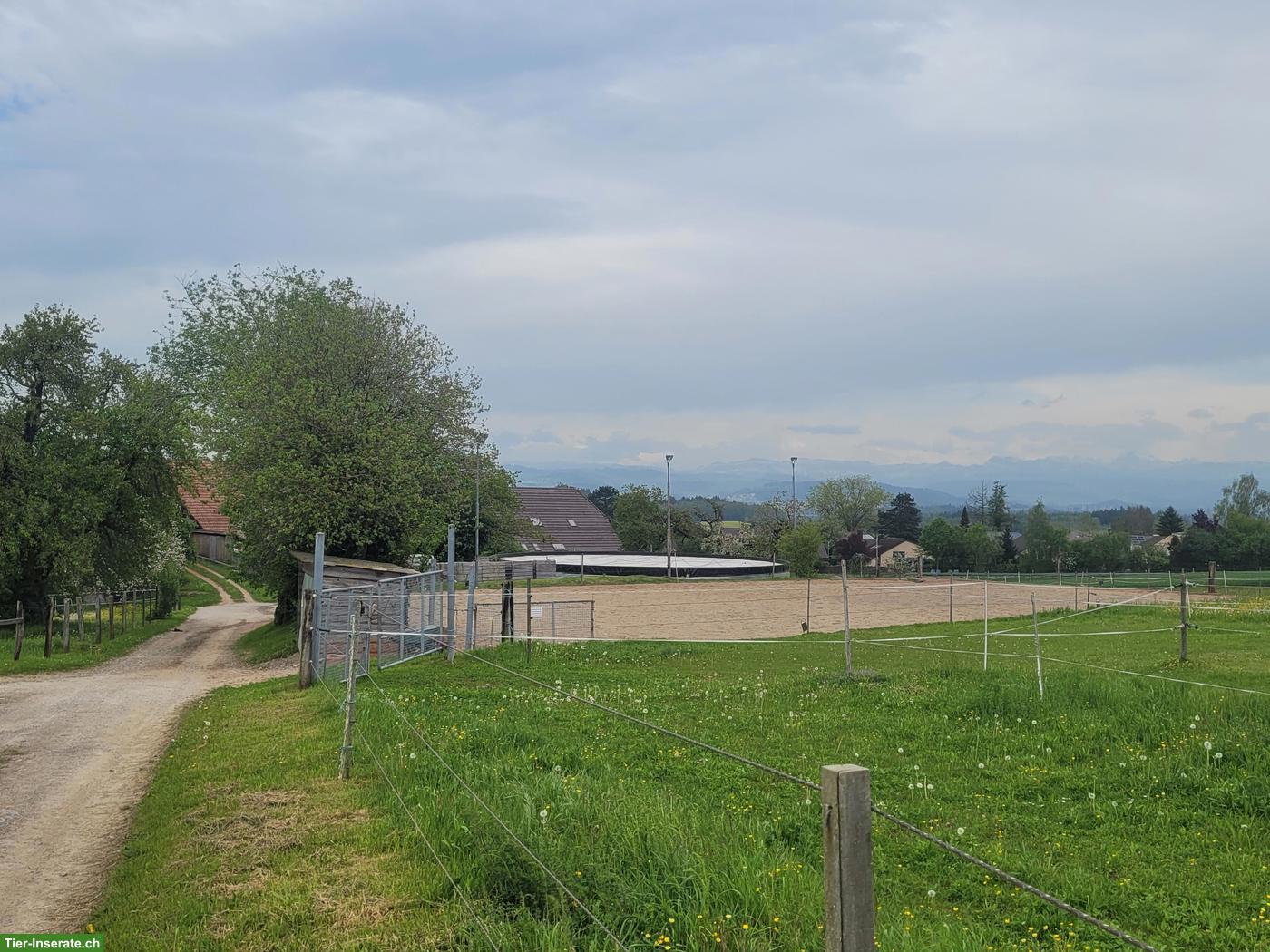 Stallteil für Selbstversorger zu vermieten in Wohlen bei Bern