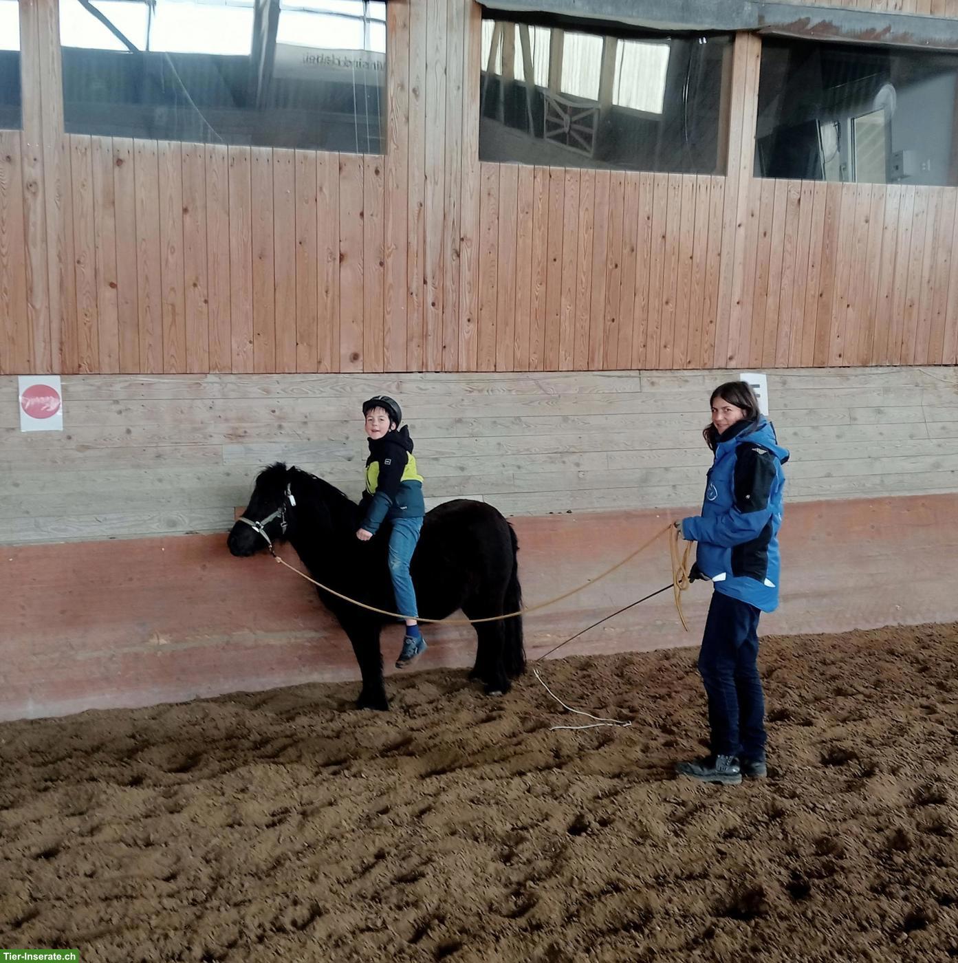 Reitunterricht bei Ihnen Zuhause