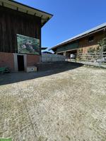 Gruppenbox für Ponys/Shettys, Platz für Fohlen & Senioren