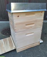 Neuer Bienenkasten aus Weymouth-Kiefer