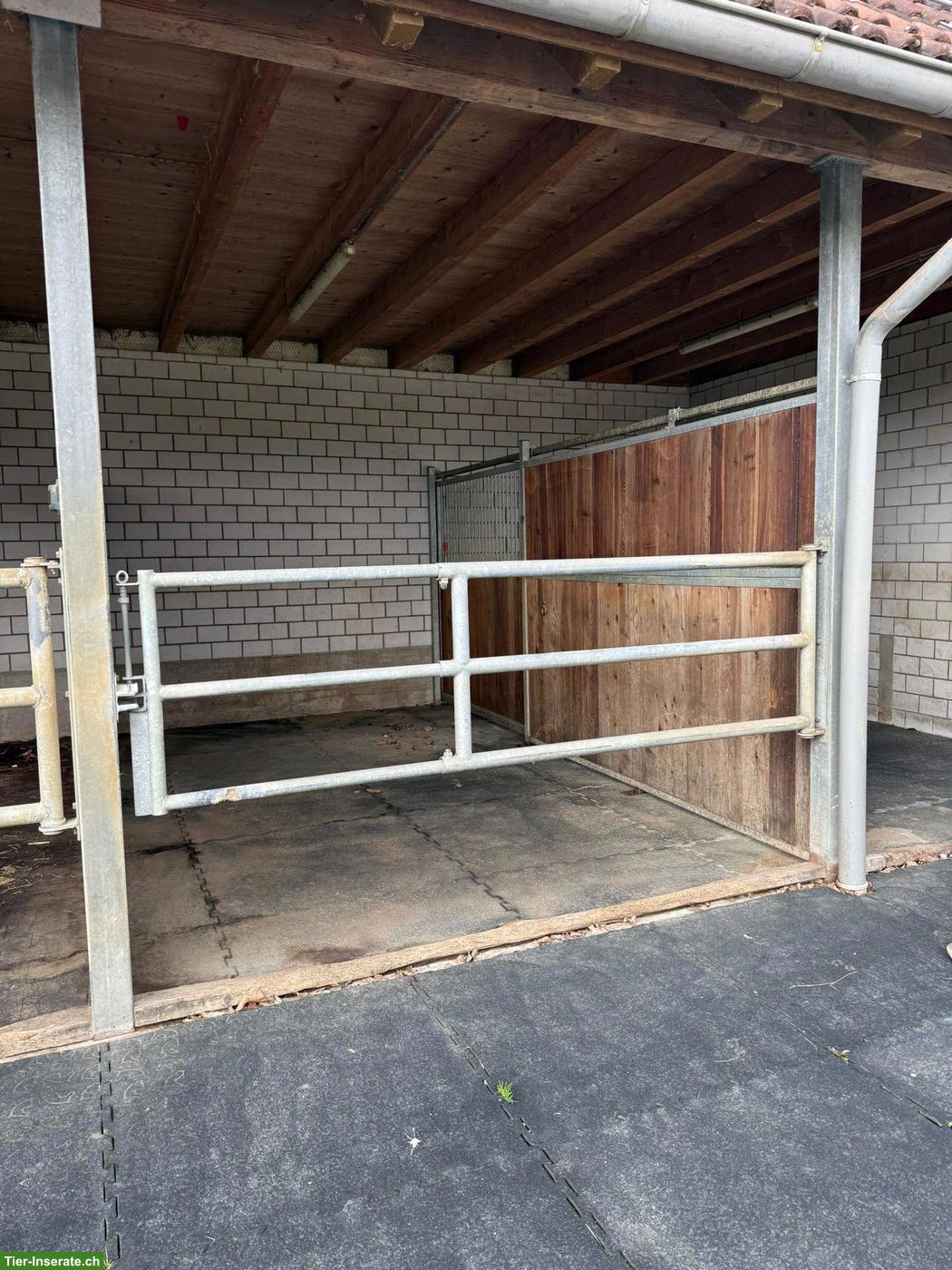 Bild 2: 2 Auslaufboxen zu vermieten | Pferdepension Diessenhofen