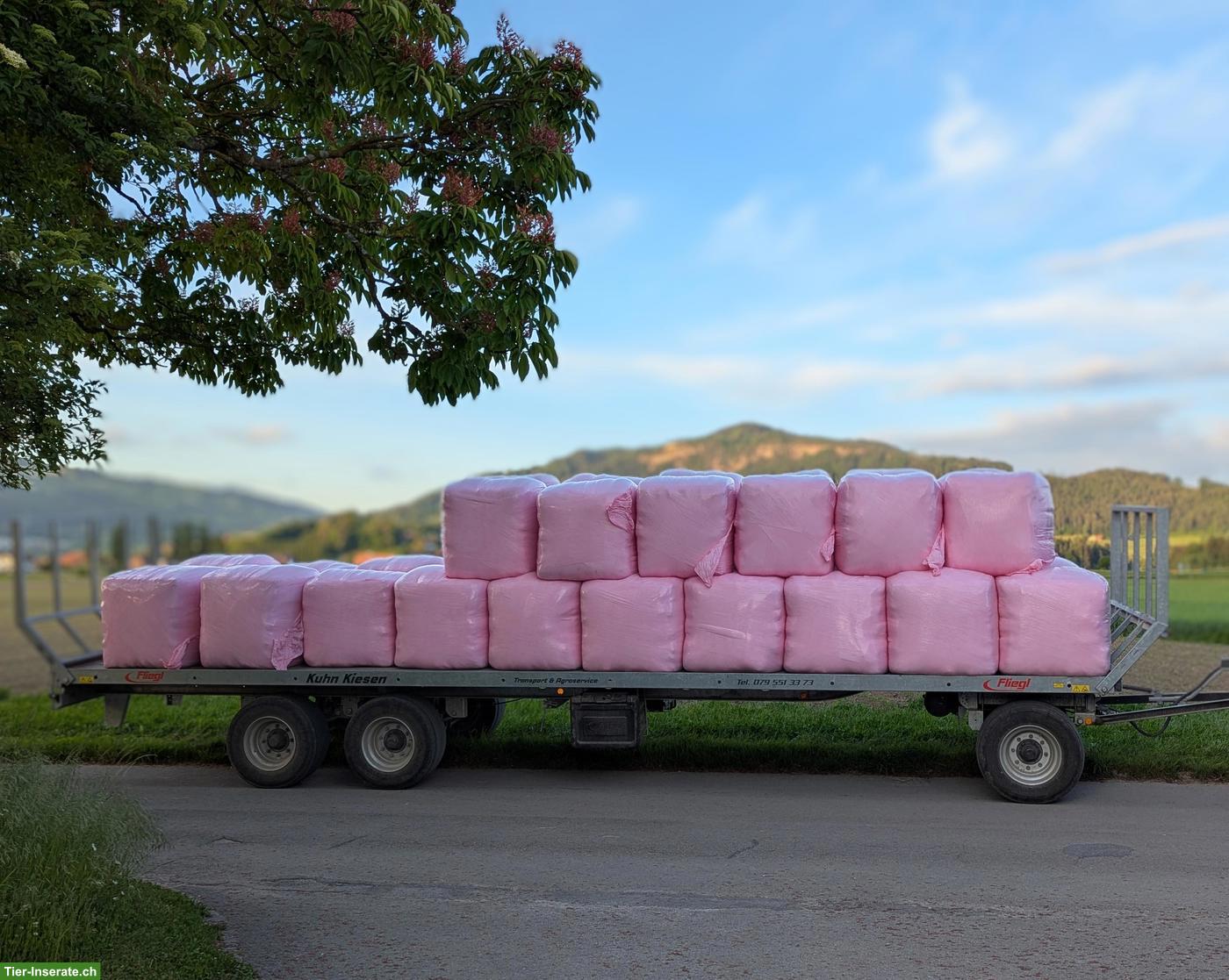 Haylage 1. Schnitt (2025) zu verkaufen