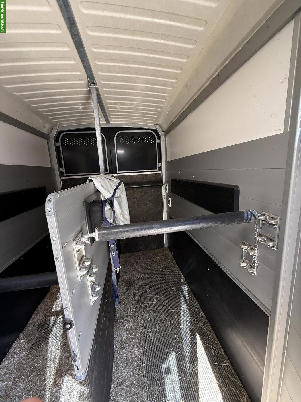 Bild 3: IFOR Williams HBX511 Pferdeanhänger mit Frontausstieg