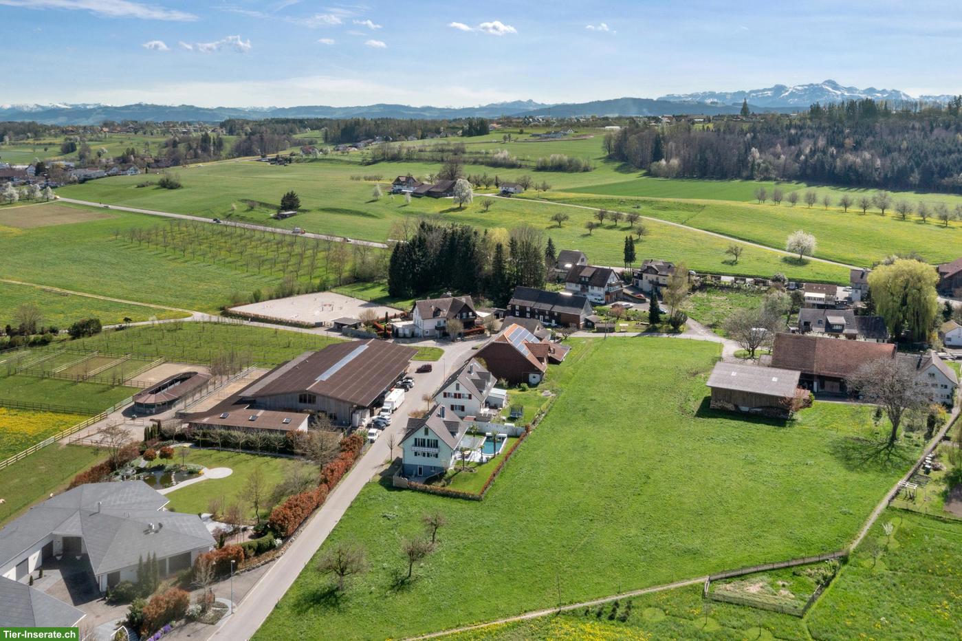 Bild 2: Exklusives 7.5-Zi.-Einfamilienhaus mit Pool und Wellnessbereich