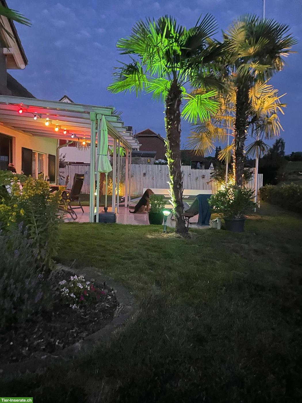 Bild 3: Exklusives 7.5-Zi.-Einfamilienhaus mit Pool und Wellnessbereich