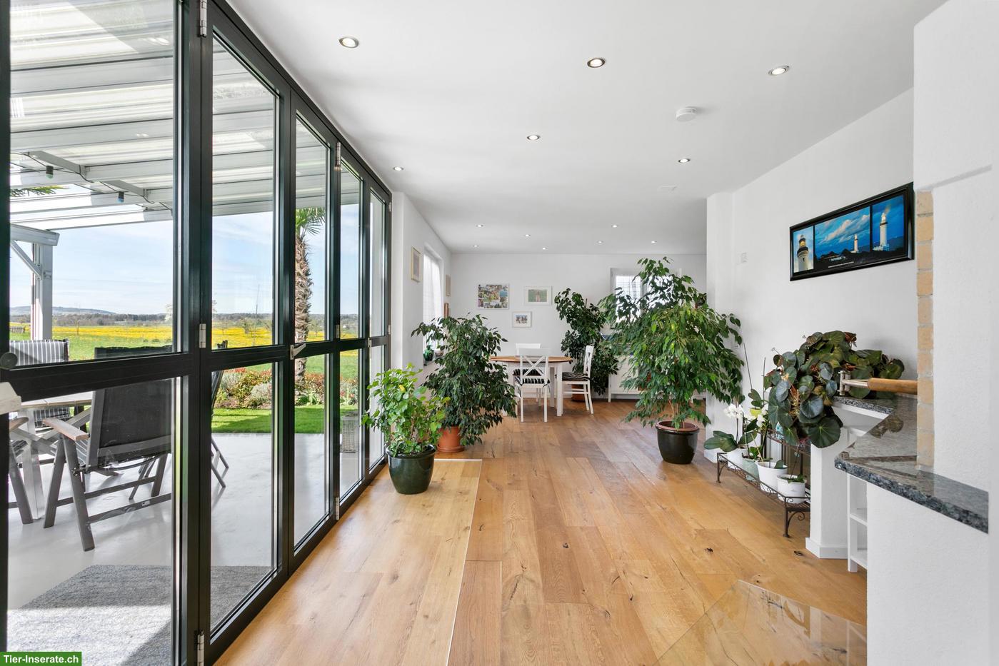 Bild 5: Exklusives 7.5-Zi.-Einfamilienhaus mit Pool und Wellnessbereich