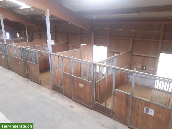 Bild 3: Doppelboxe bzw. 2 freie Auslaufboxen in 5453 Remetschwil AG