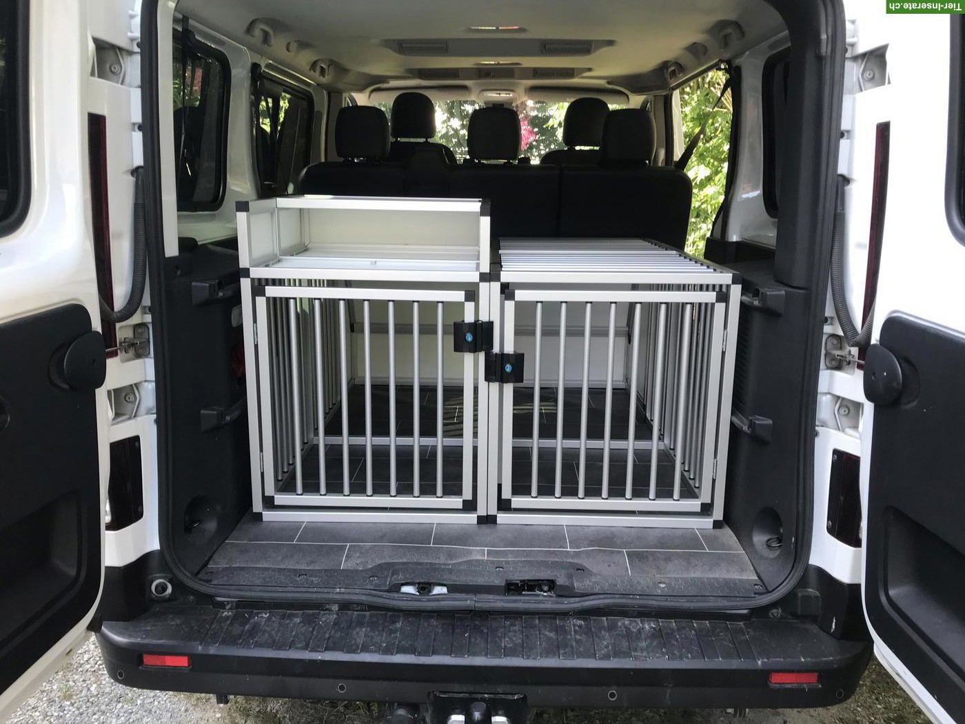 Hundetransportbox massgefertigt für Renault Trafic und ähnliche