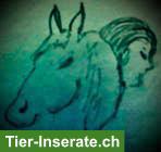 MOGLY Tierkommunikation, Verhaltensberatung