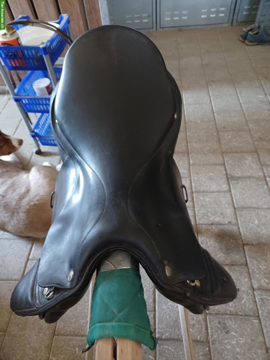 Rössli Dressursattel Masssattel, 41 cm Sitz