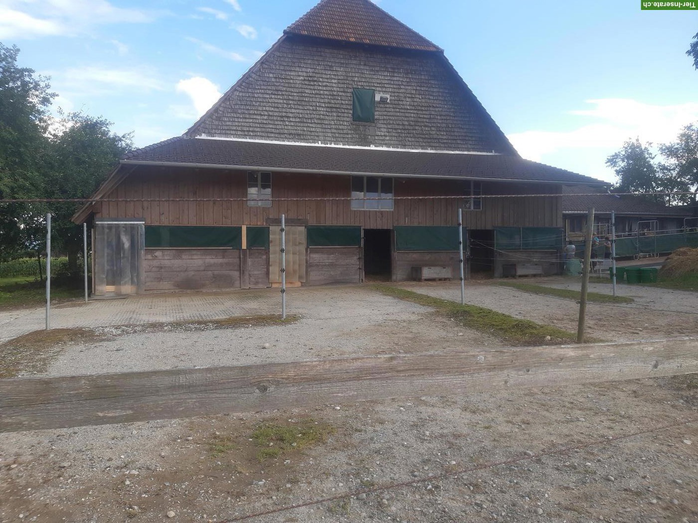 Bild 4: Stallteil zu vermieten in Pferdepension Uettligen BE