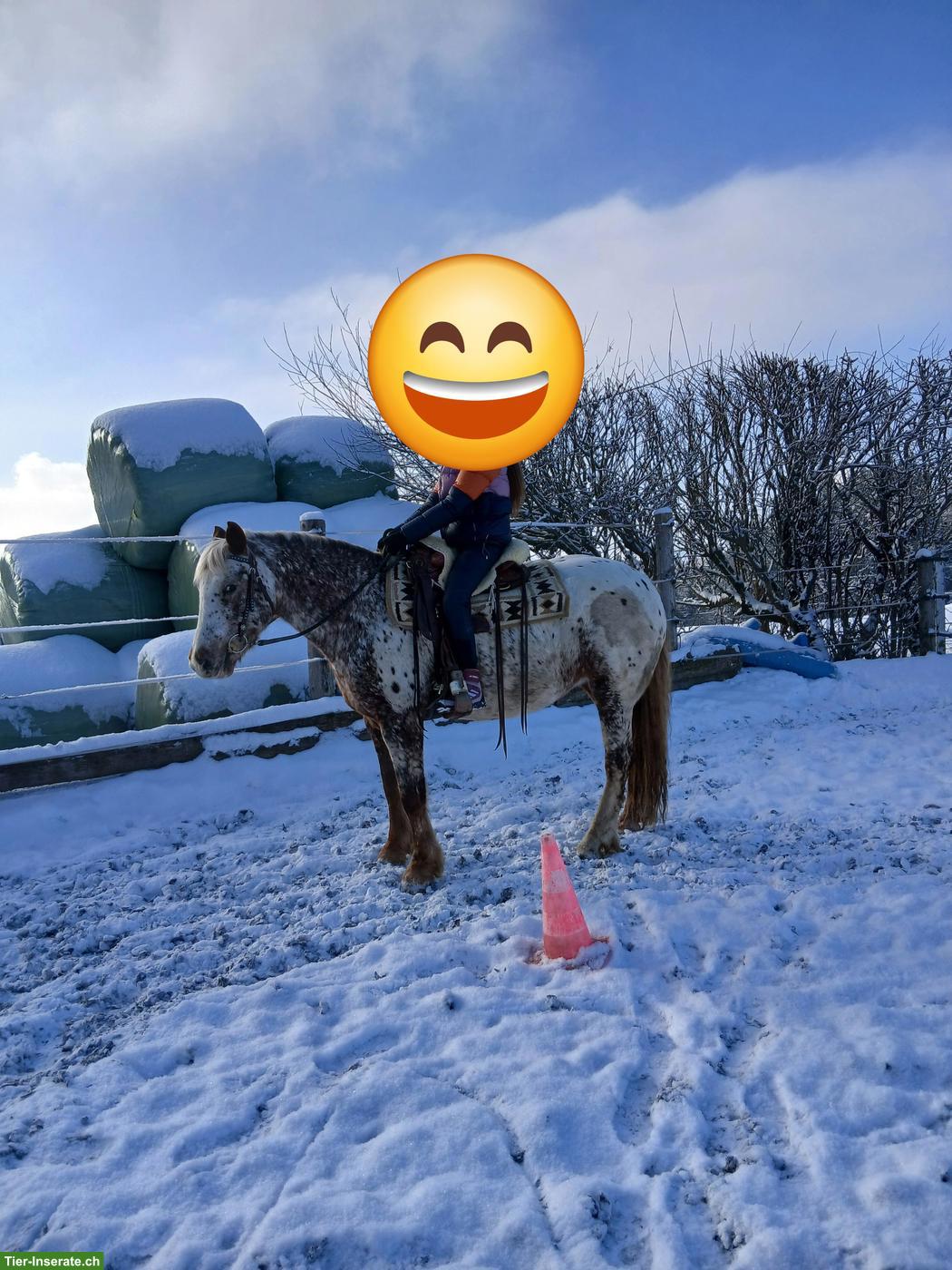 Bild 4: Lässiges Auffahrts-Reitlager auf dem Brikerhof im Appenzell AR