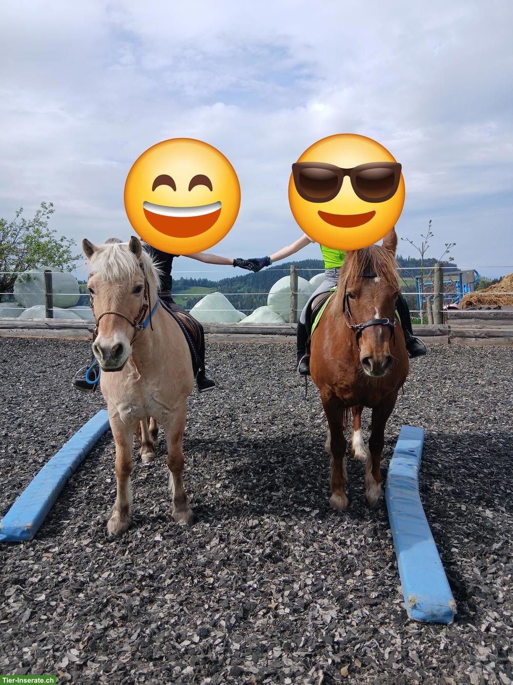 Bild 5: Lässiges Auffahrts-Reitlager auf dem Brikerhof im Appenzell AR