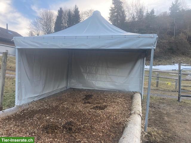 Bild 2: Weidezelt / Pavillon 4x4m mit 2 Seitenwänden, Ascona von Texbau