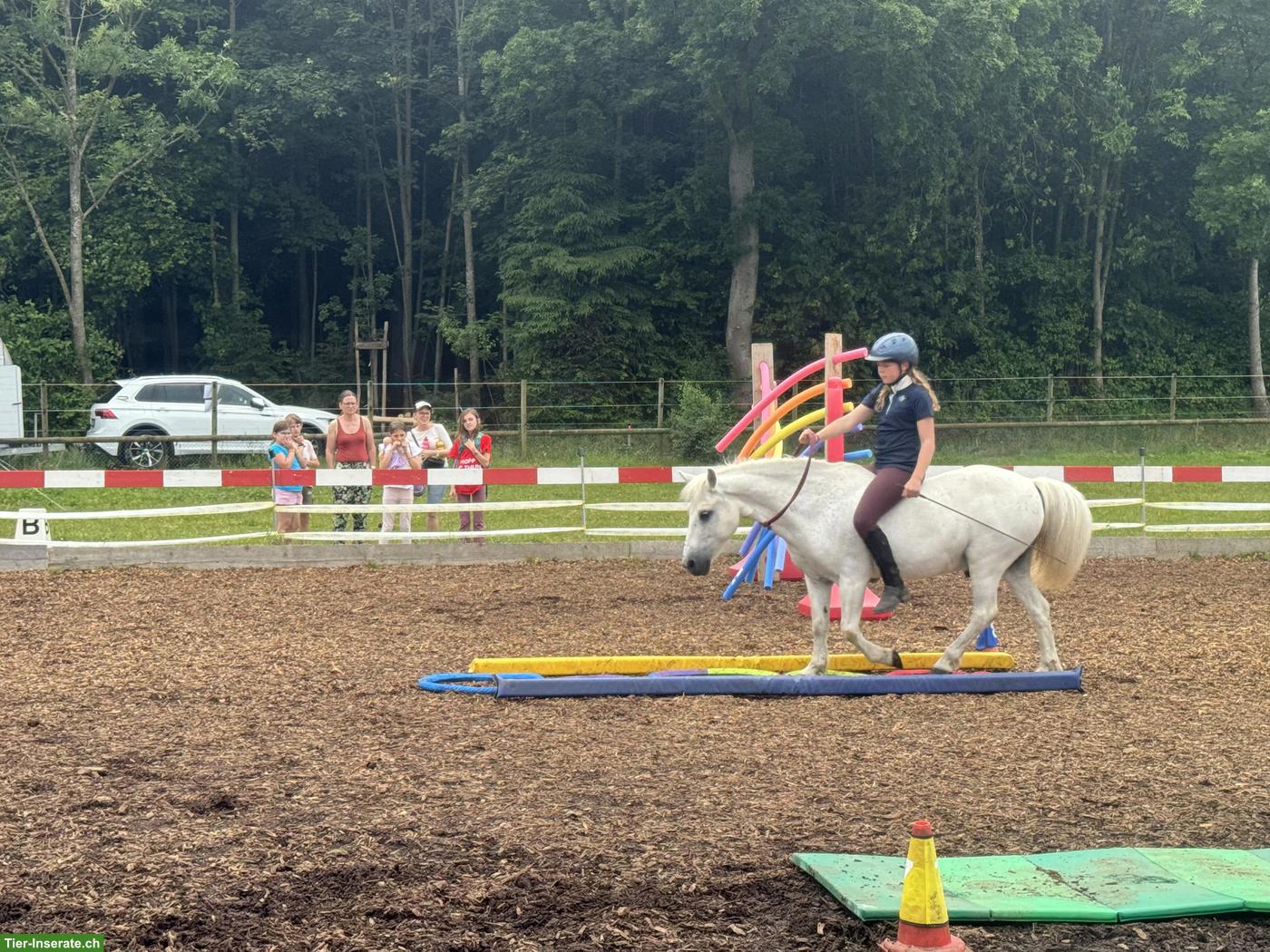 Bild 4: Reitbeteiligung gesucht für braves Pony Oli, Kanton Bern