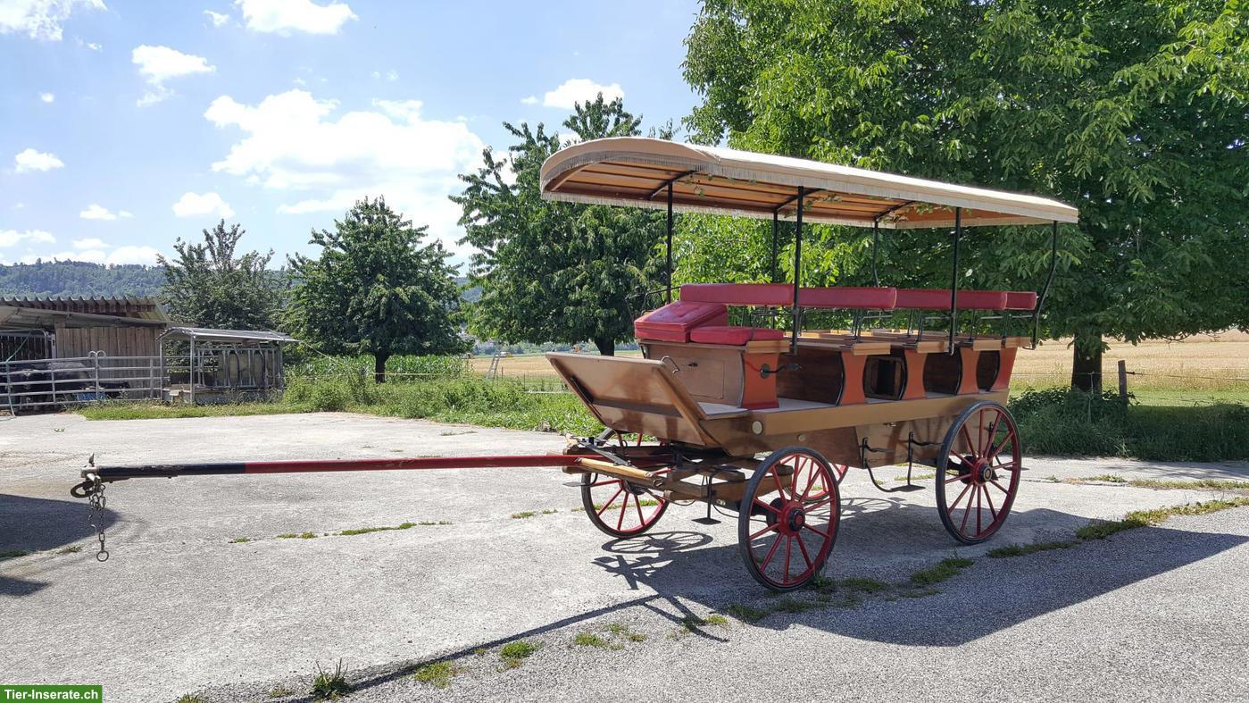Gesellschaftswagen / Pferdewagen zu verkaufen