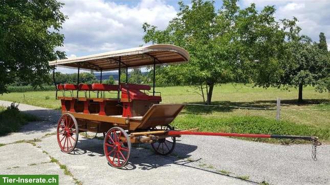 Bild 2: Gesellschaftswagen / Pferdewagen zu verkaufen