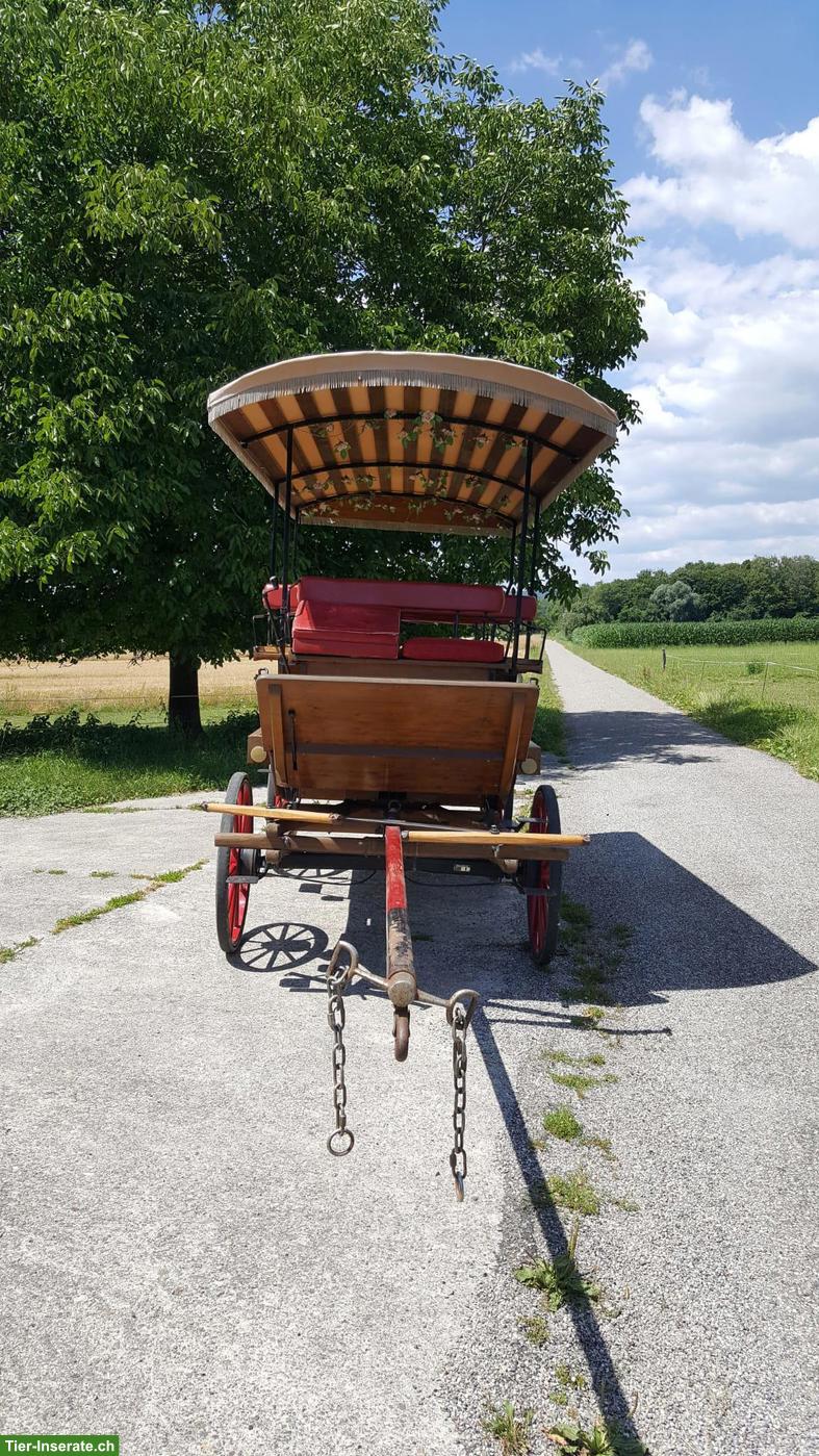 Bild 3: Gesellschaftswagen / Pferdewagen zu verkaufen