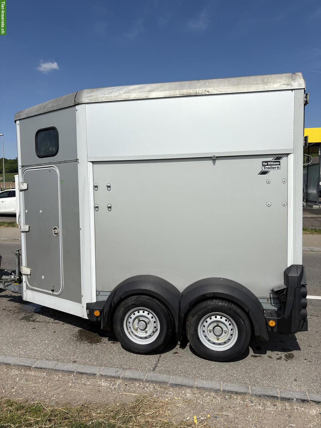 Pferdeanhänger Ifor Williams für 2 Pferde zu verkaufen