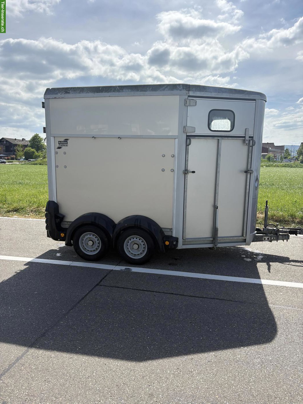 Bild 3: Pferdeanhänger Ifor Williams für 2 Pferde zu verkaufen