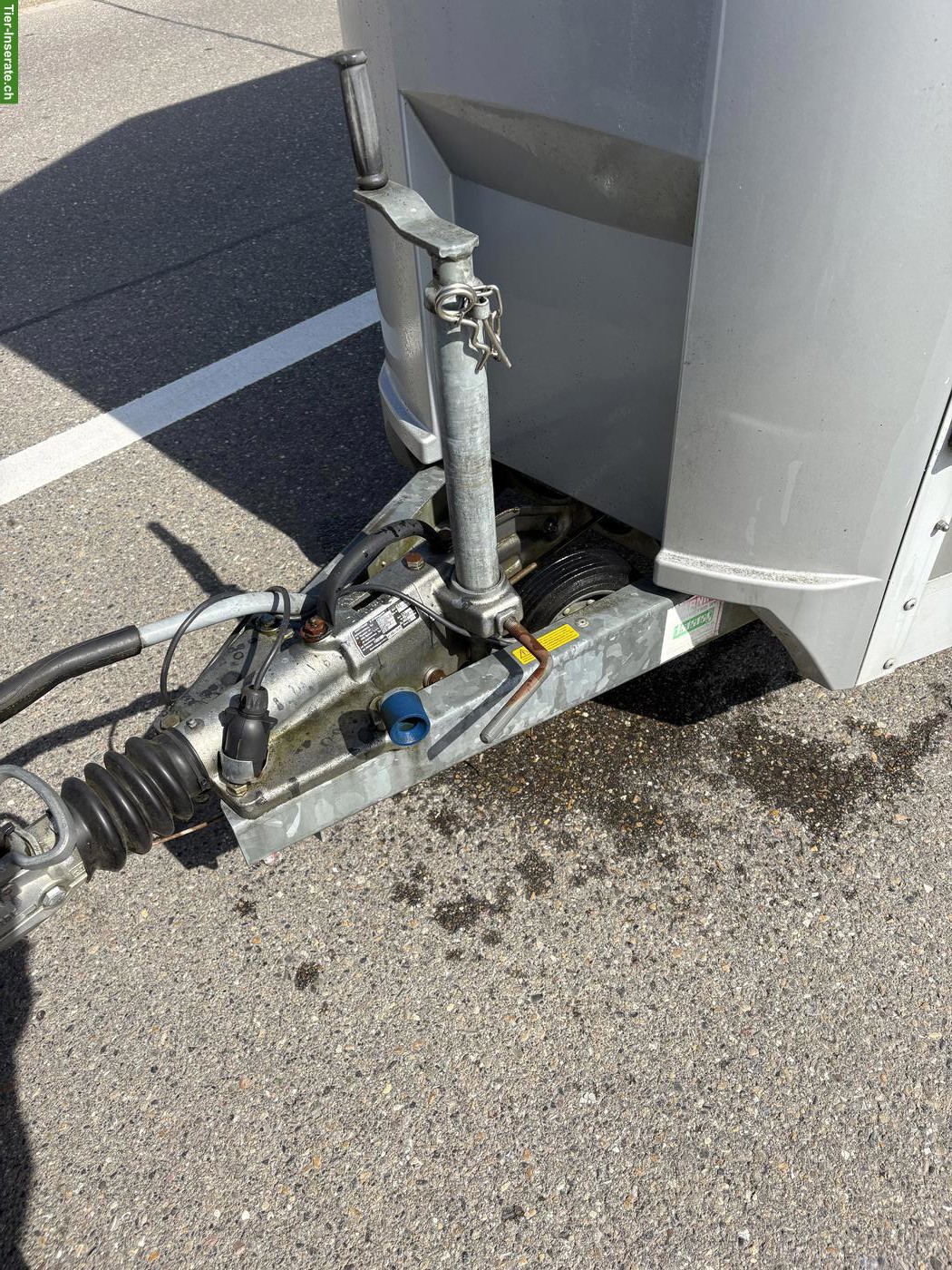 Bild 4: Pferdeanhänger Ifor Williams für 2 Pferde zu verkaufen