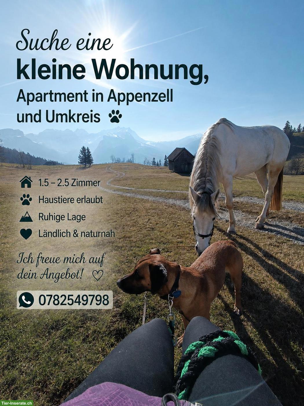 Studio Wohnung gesucht in Appenzell Umgebung