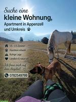Studio Wohnung gesucht in Appenzell Umgebung