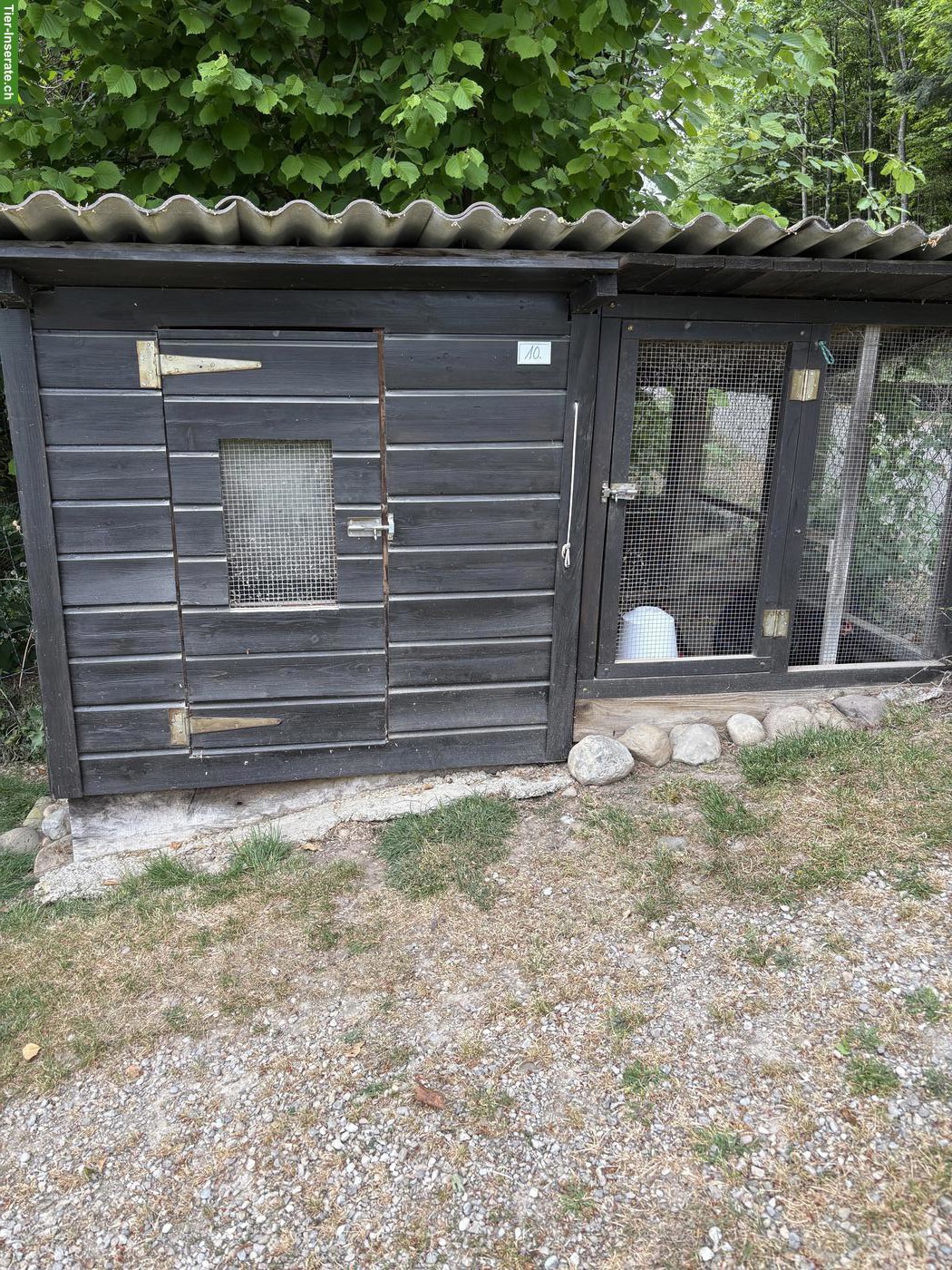 Bild 2: Kaninchen-/Meerschweinchenstall zu verkaufen