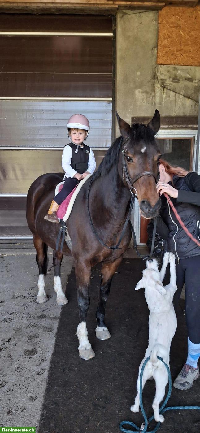 Einzelreitstunden für Kinder 🐴