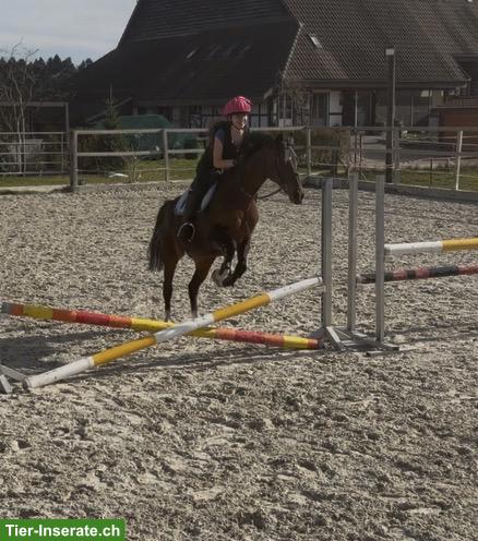 Bild 2: Einzelreitstunden für Kinder 🐴