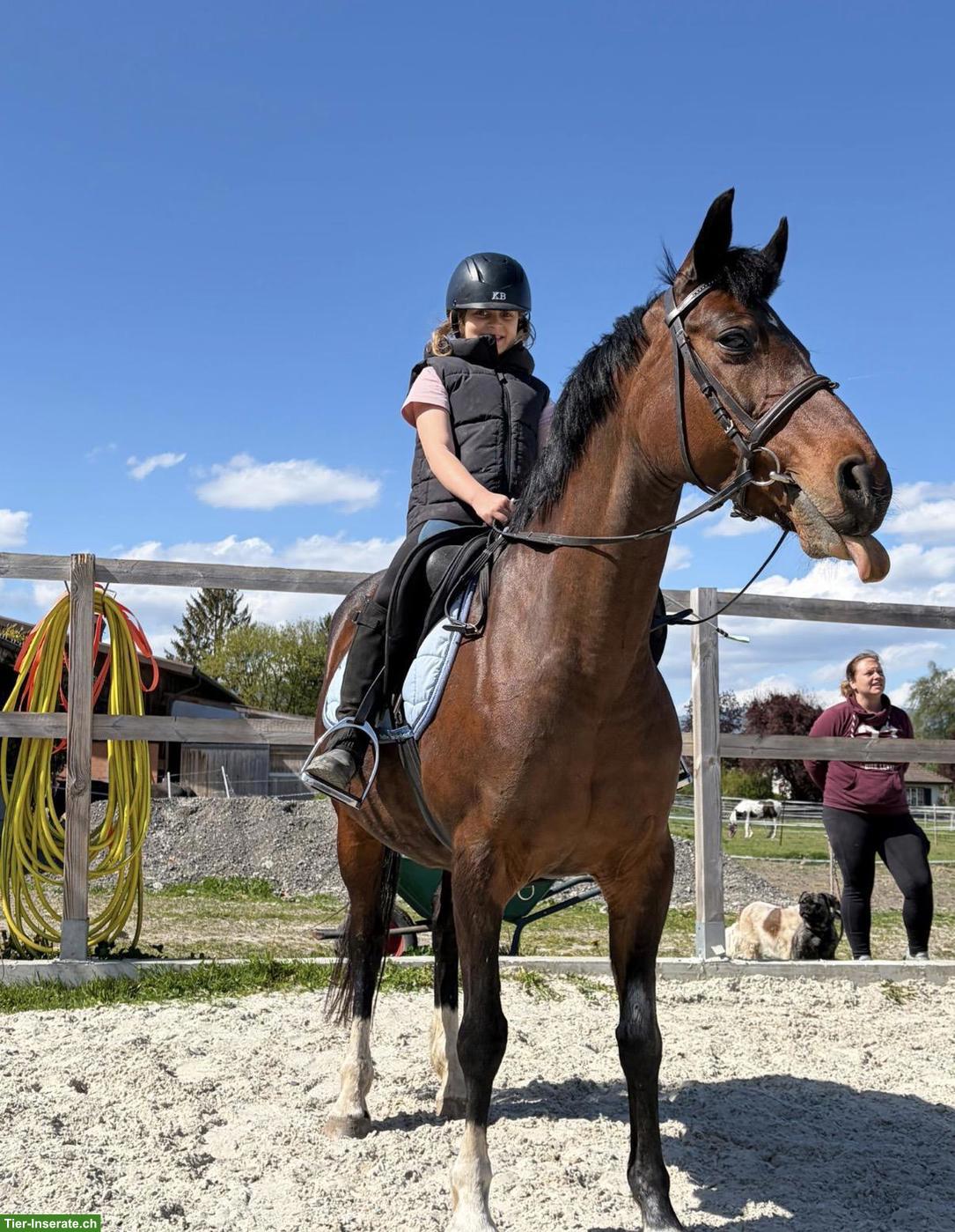 Bild 3: Einzelreitstunden für Kinder 🐴