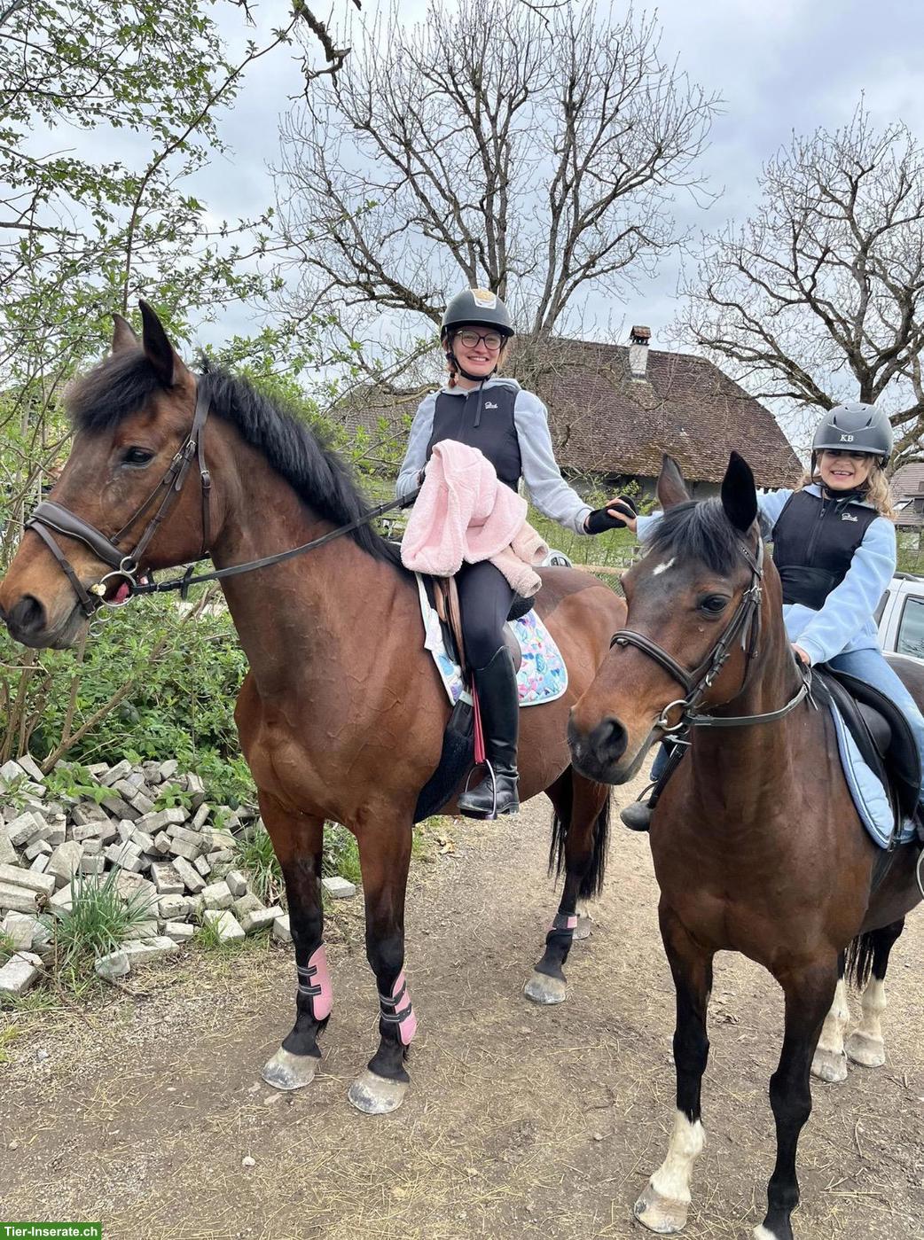 Bild 4: Einzelreitstunden für Kinder 🐴