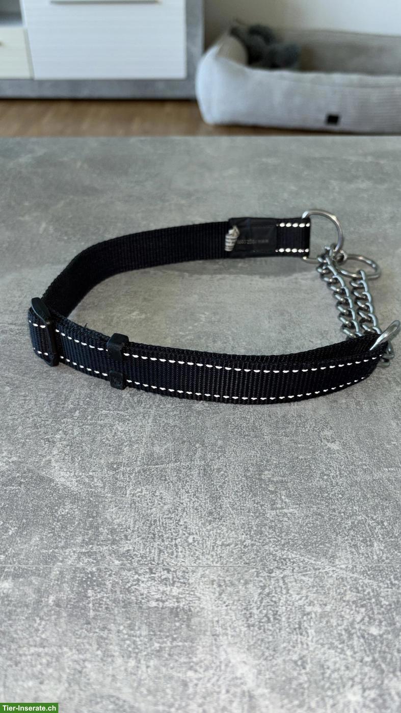 Bild 2: Hundehalsband mit Kette XL, schwarz