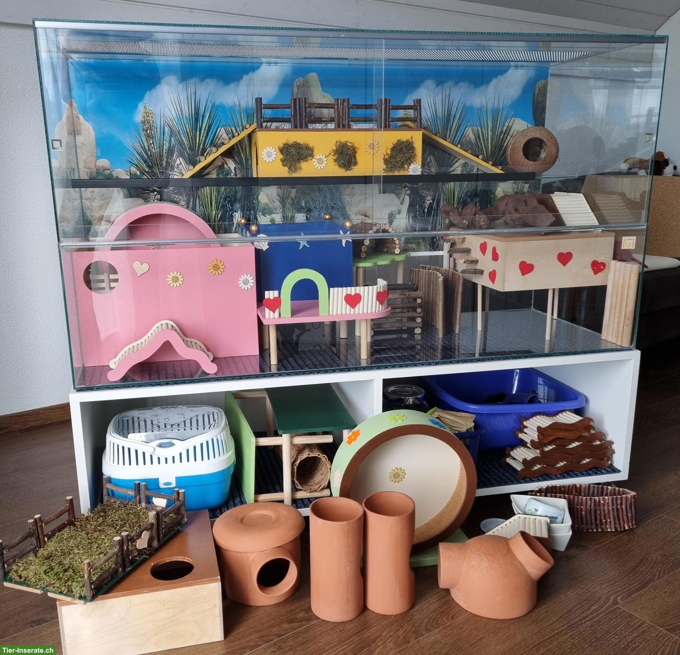 Grosses Nager-Glasterrarium zu verkaufen