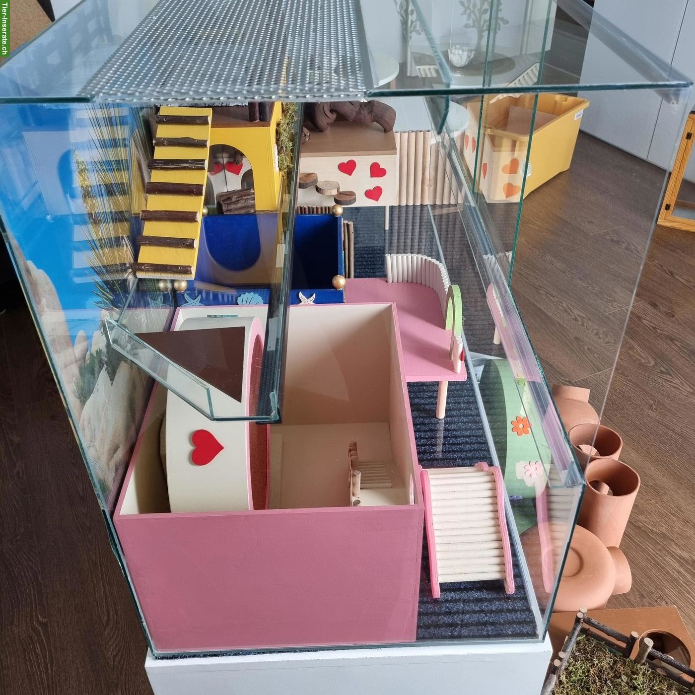Bild 2: Grosses Nager-Glasterrarium zu verkaufen
