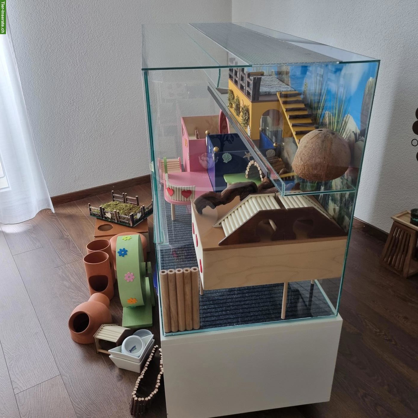 Bild 3: Grosses Nager-Glasterrarium zu verkaufen