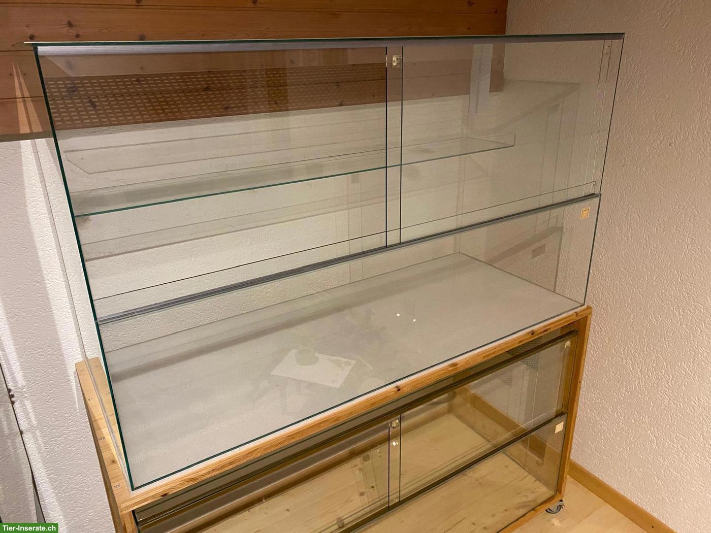 Bild 5: 2 Rennmäuse mit oder ohne Terrarium